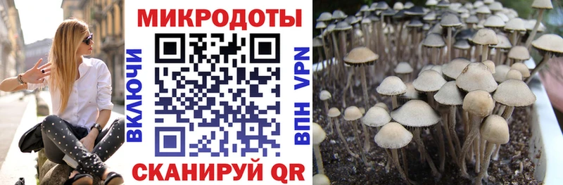 Галлюциногенные грибы ЛСД  магазин    Саратов 