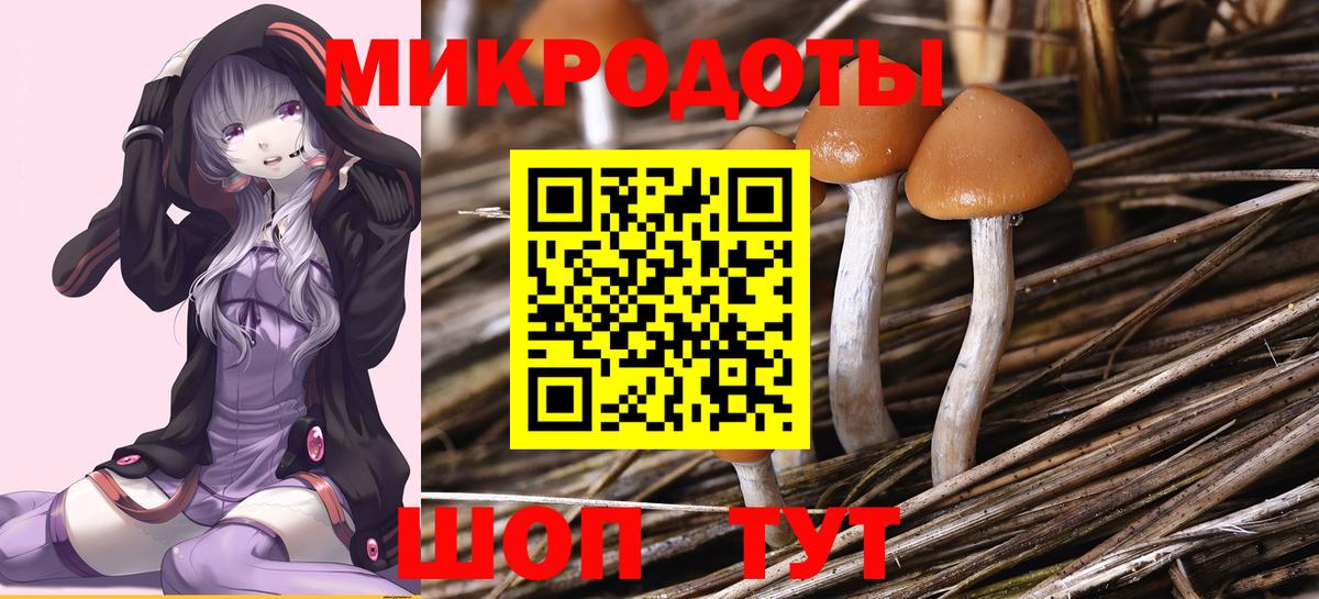 Саратов  Галлюциногенные грибы мухоморы  Вход с VPN 